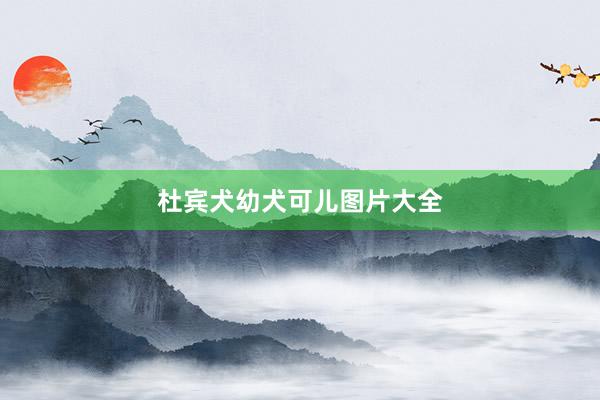杜宾犬幼犬可儿图片大全