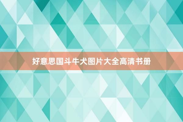 好意思国斗牛犬图片大全高清书册