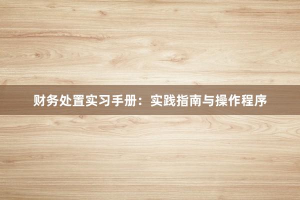 财务处置实习手册：实践指南与操作程序