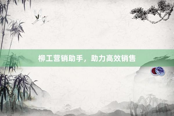 柳工营销助手，助力高效销售